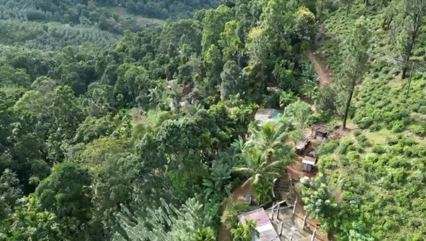 Nature'S Rest Ella Luaran gambar