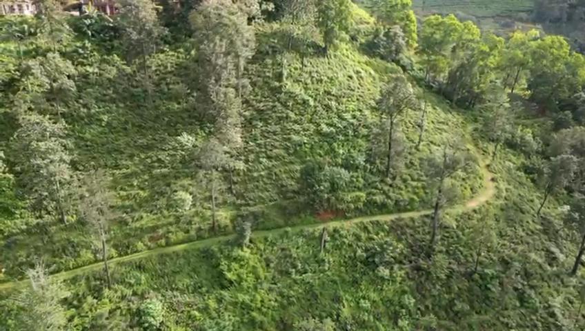 Nature'S Rest Ella Luaran gambar