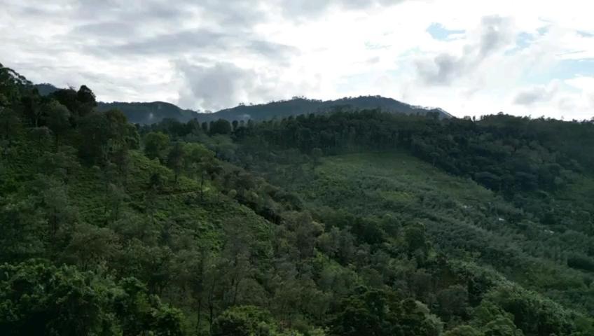 Nature'S Rest Ella Luaran gambar