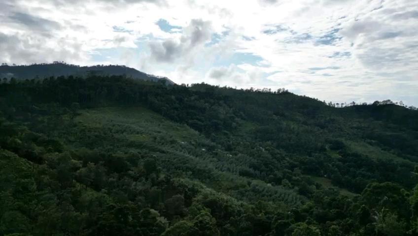 Nature'S Rest Ella Luaran gambar