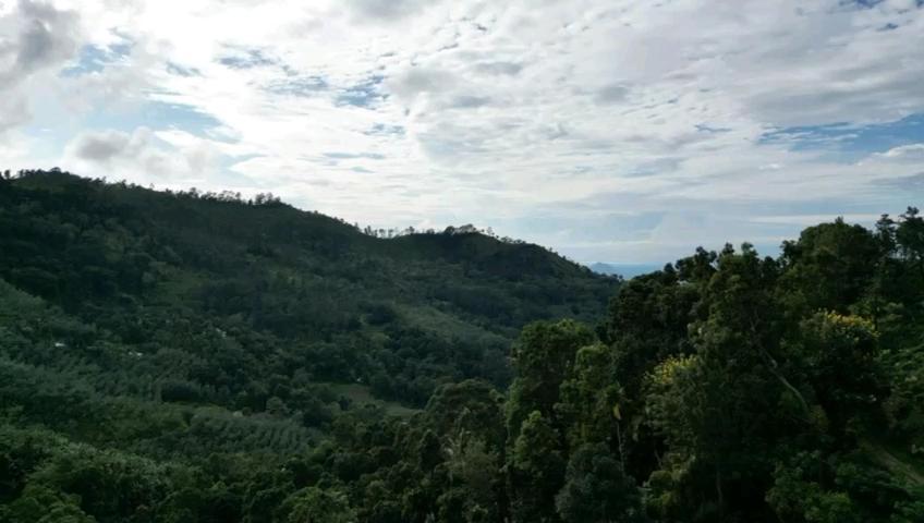 Nature'S Rest Ella Luaran gambar