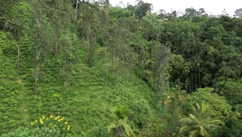 Nature'S Rest Ella Luaran gambar