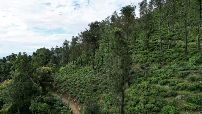 Nature'S Rest Ella Luaran gambar