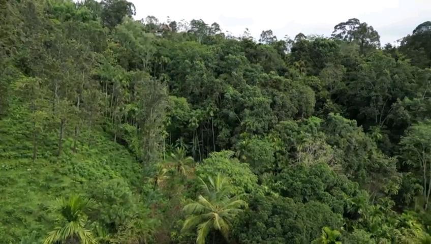 Nature'S Rest Ella Luaran gambar