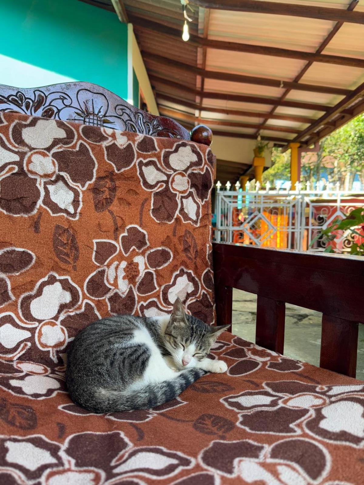 Nature'S Rest Ella Luaran gambar